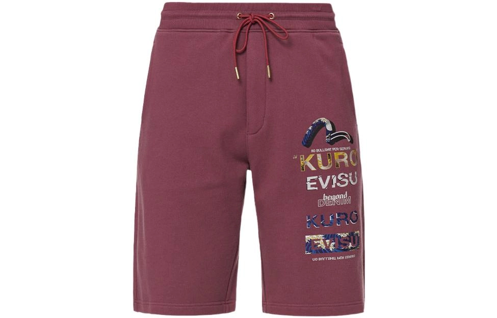 EVISU logo