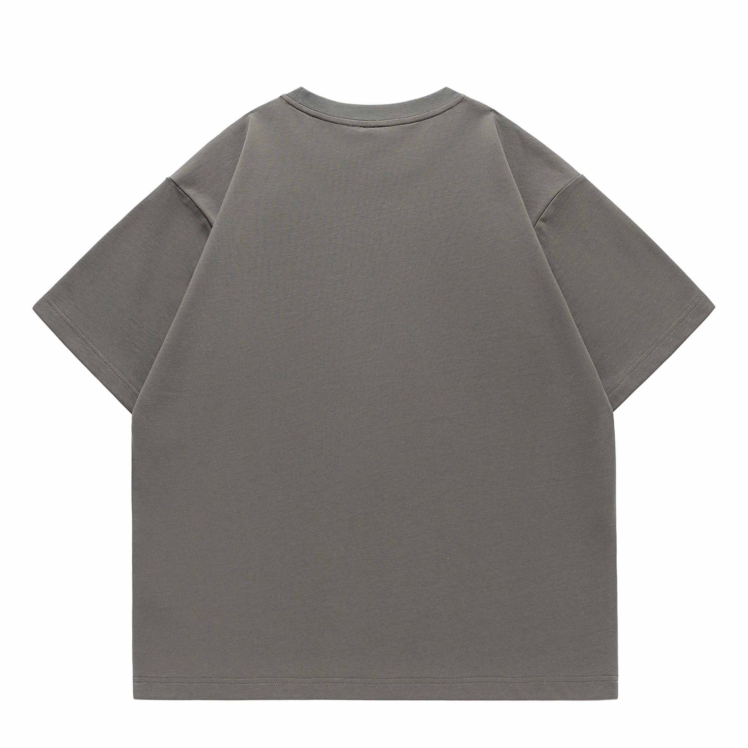 LISENPOK T