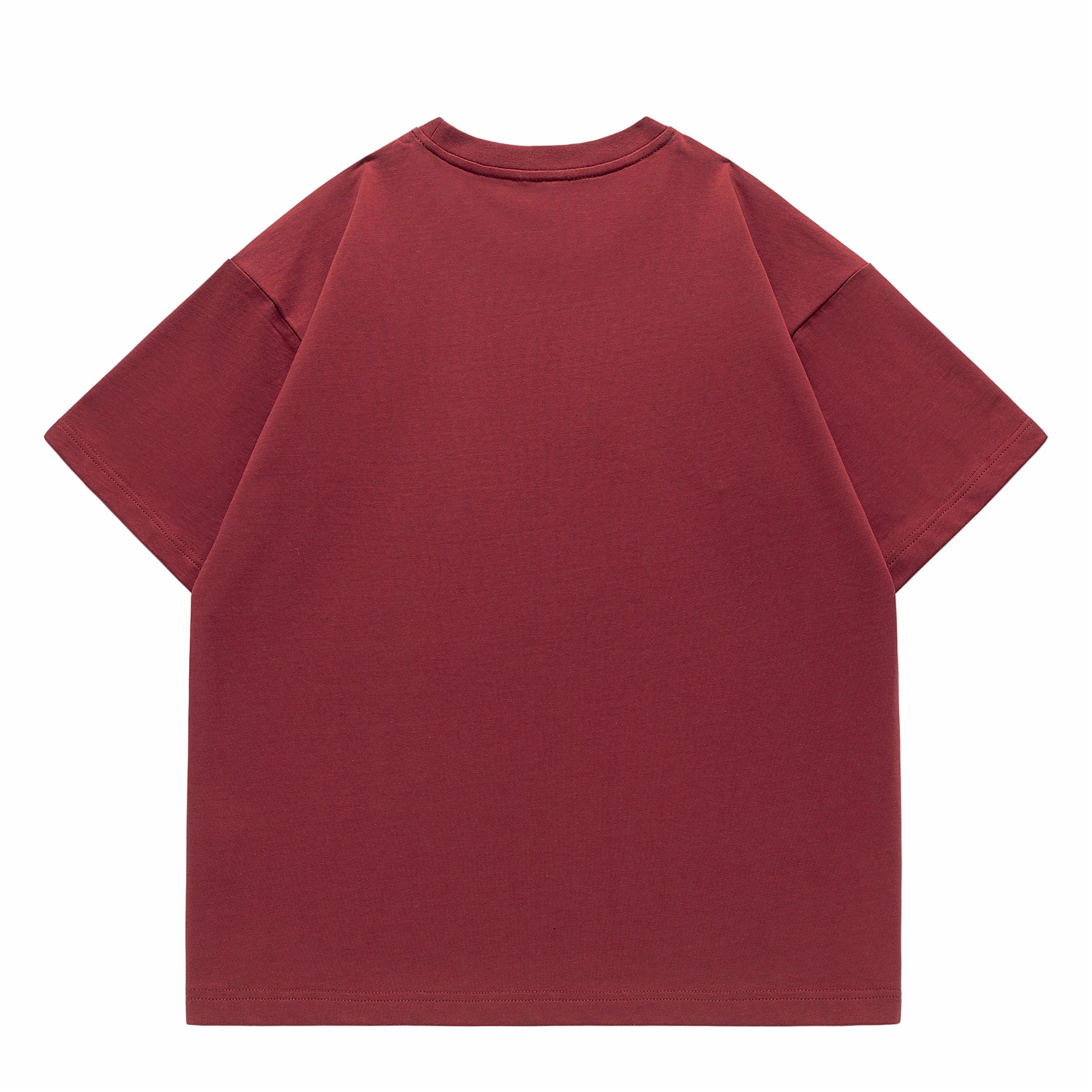 LISENPOK T