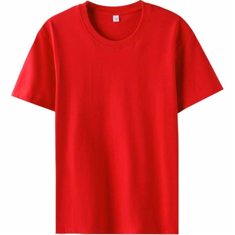 CASAMIA T