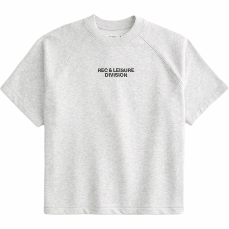 Hollister T