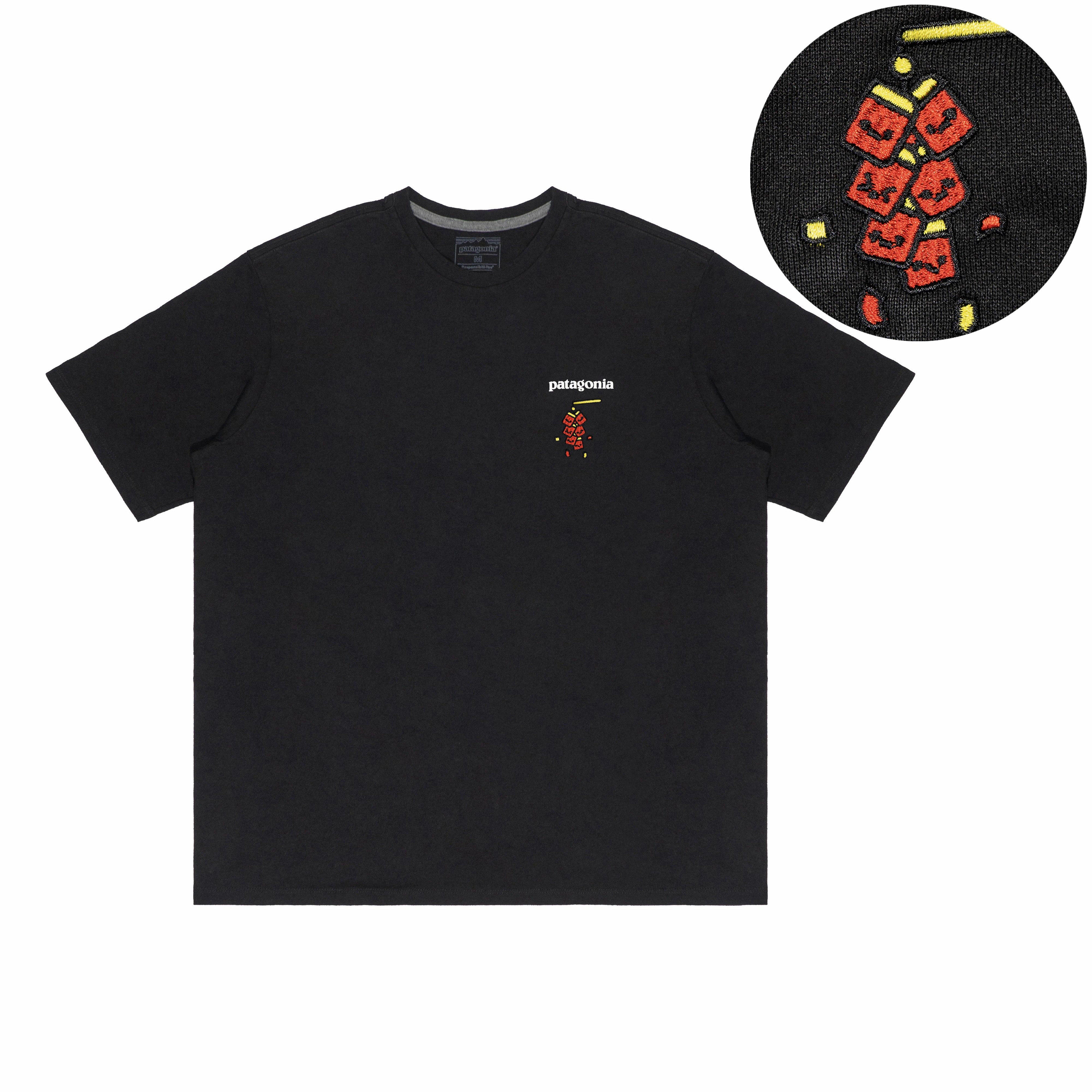 patagonia Extraordinary T BLK