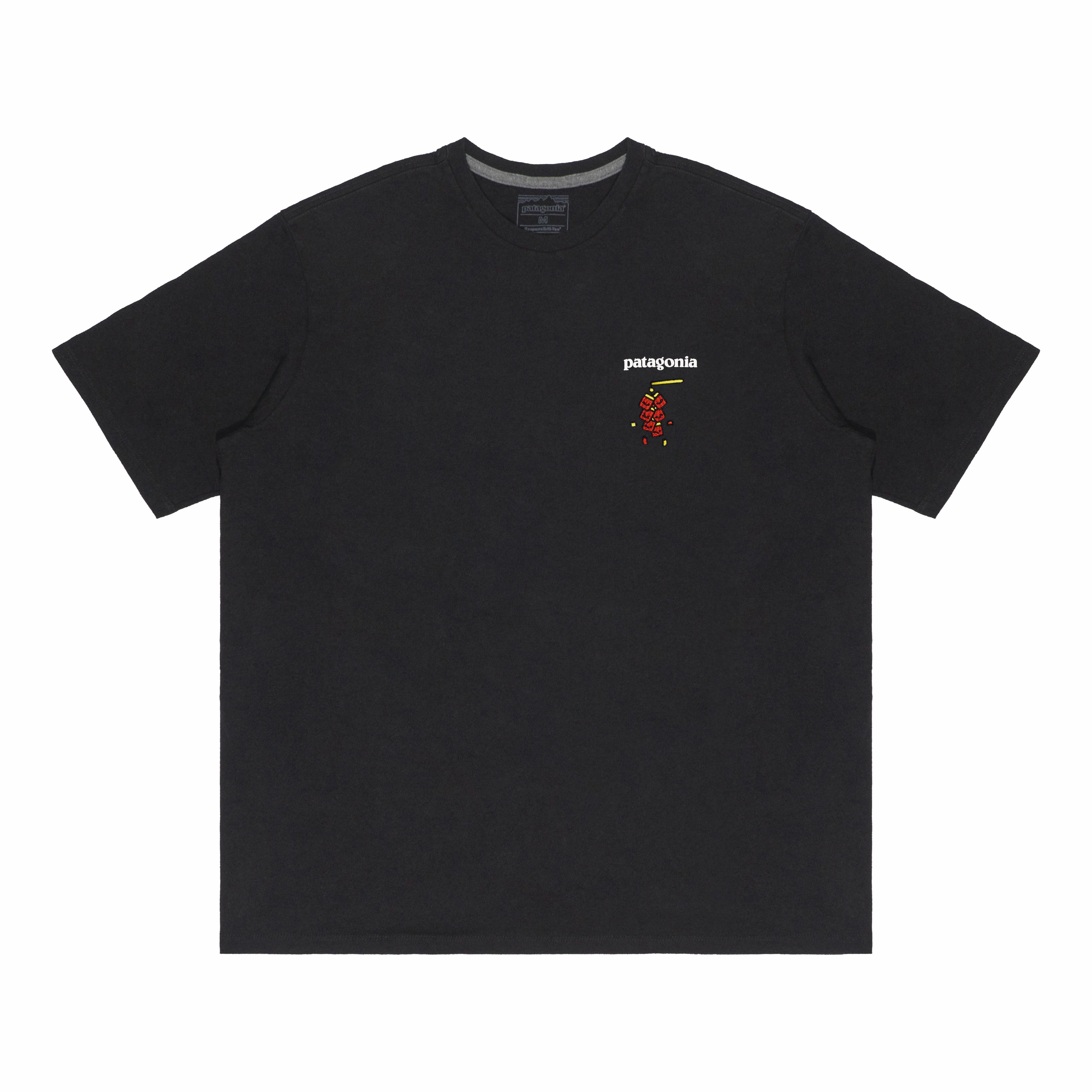 patagonia Extraordinary T BLK