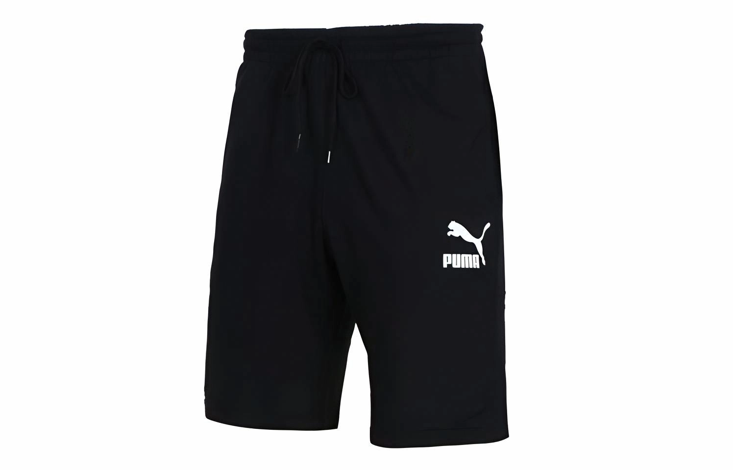 Puma Logo