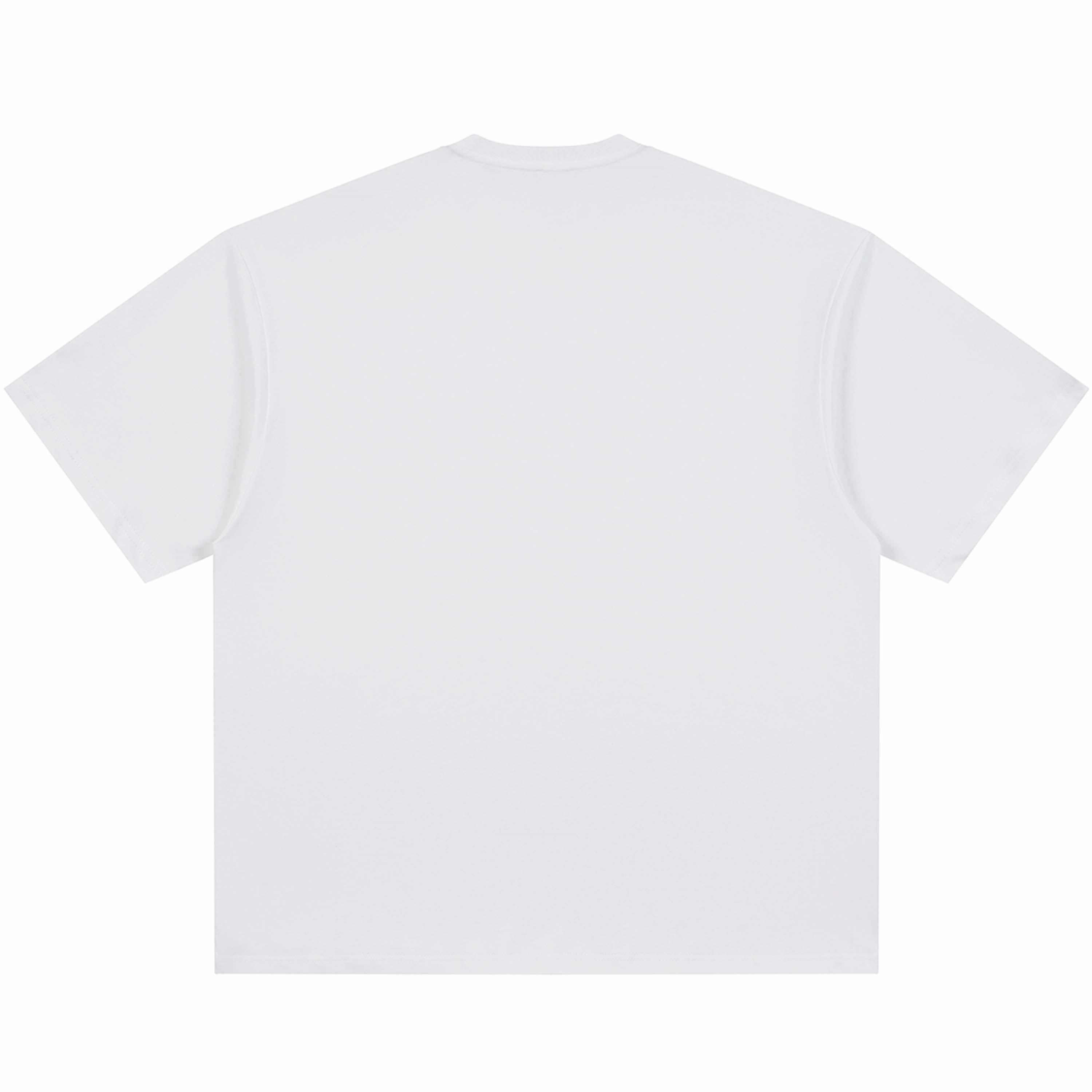 PAUL COSTELLOE T