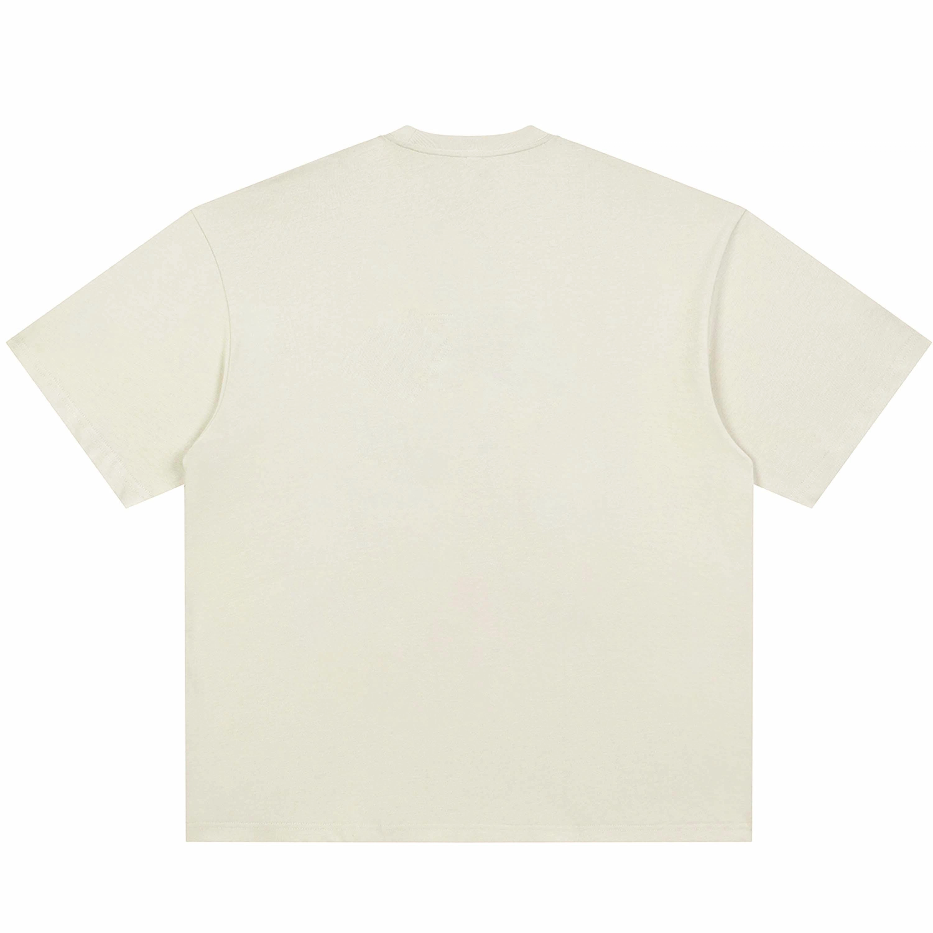 PAUL COSTELLOE T