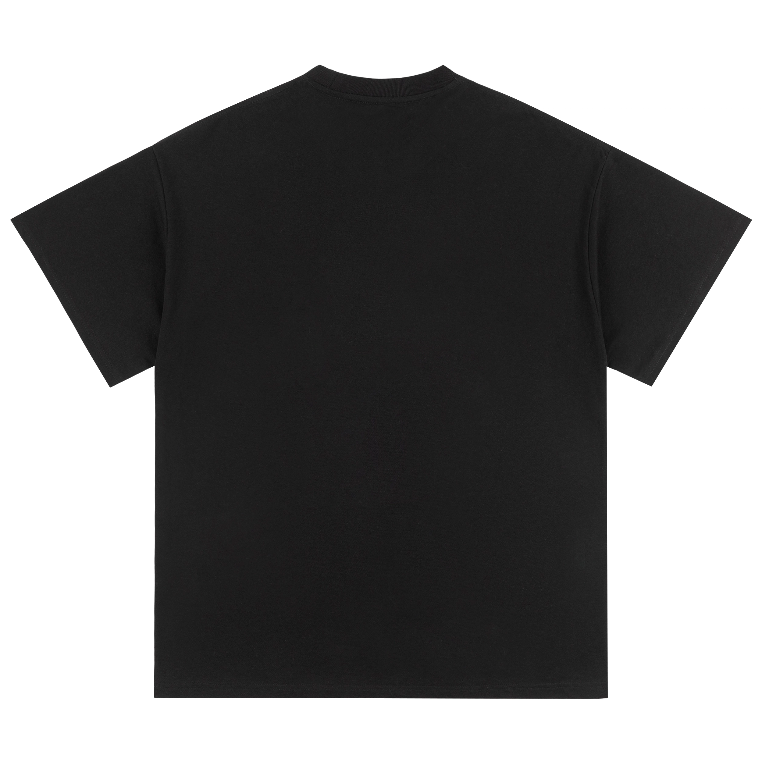 PILOTDRAGON T