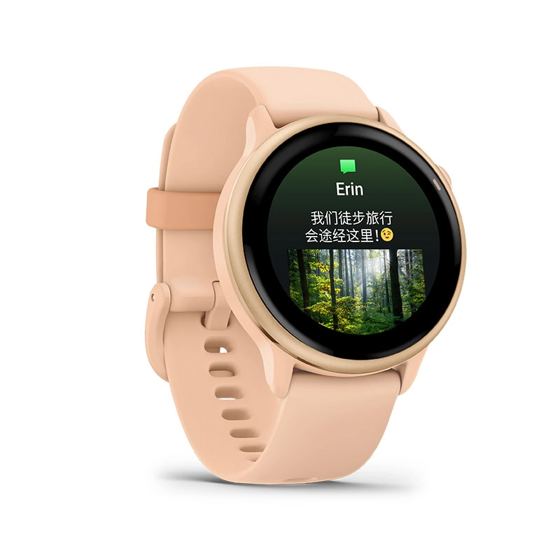 GARMIN Active 6 app