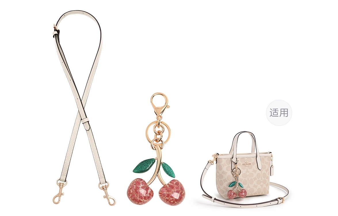 GUYI COACH city15 Totemini