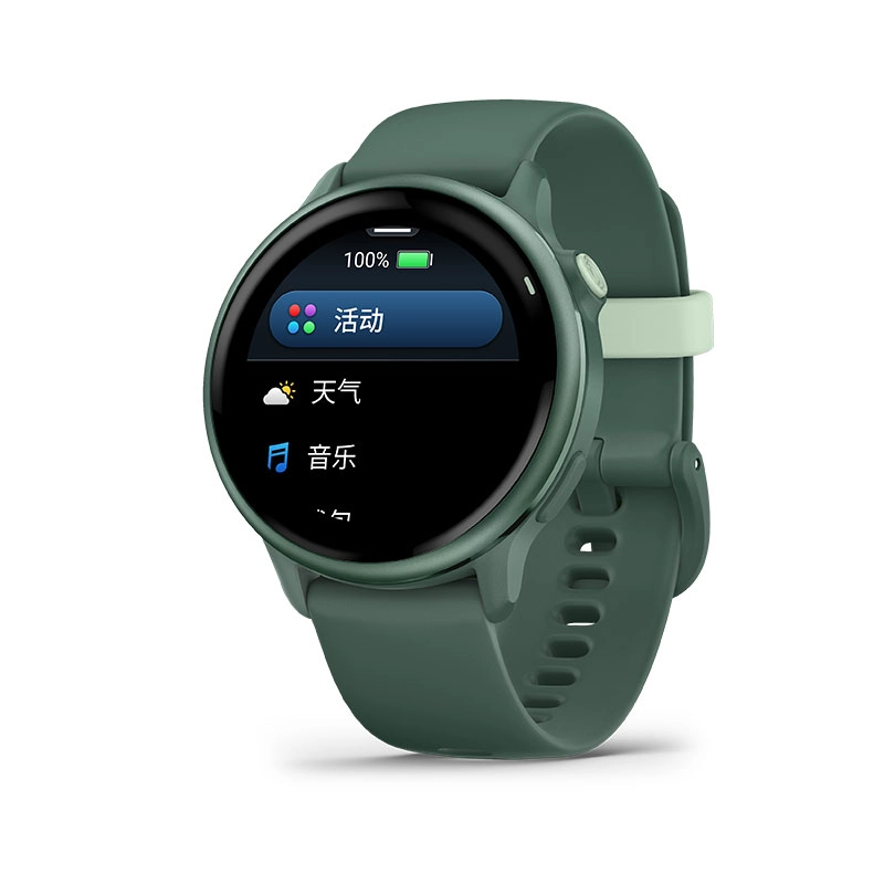 GARMIN Active 6 app