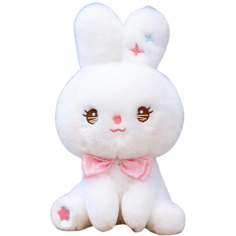 25cm35cm