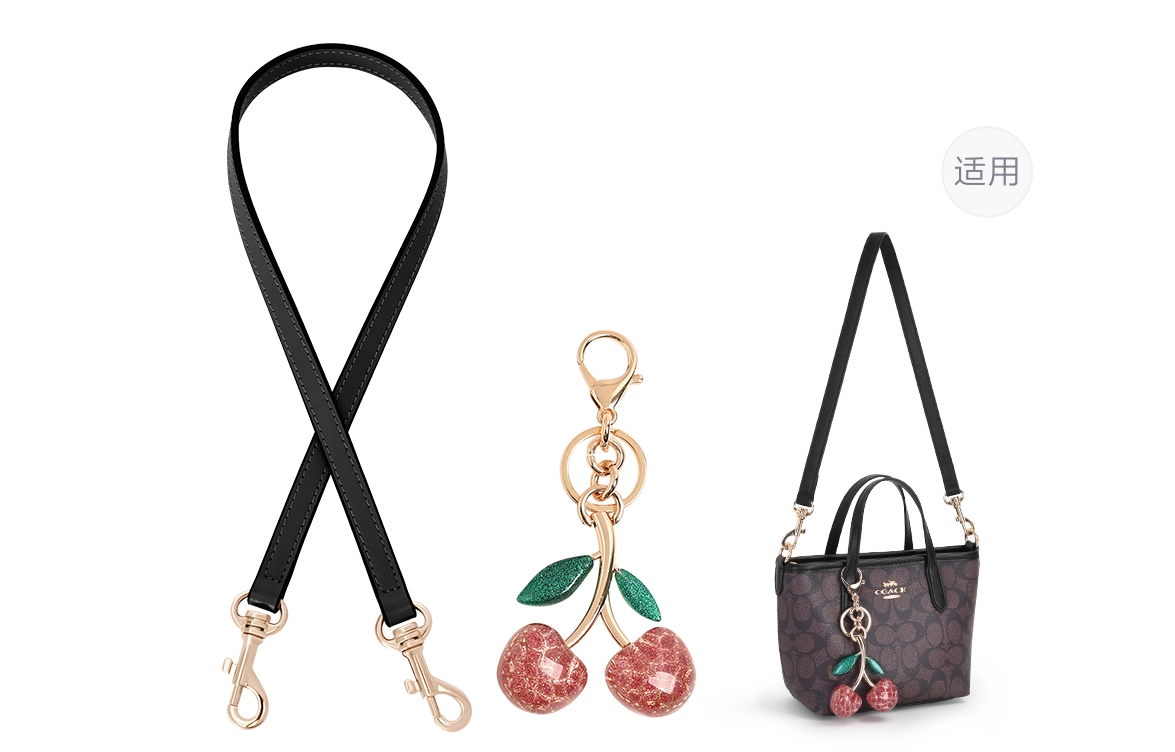 GUYI COACH city15 Totemini