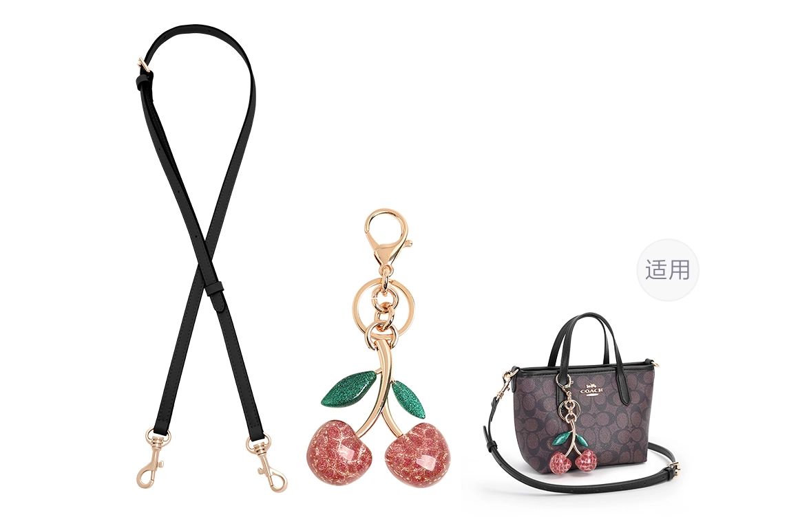 GUYI COACH city15 Totemini