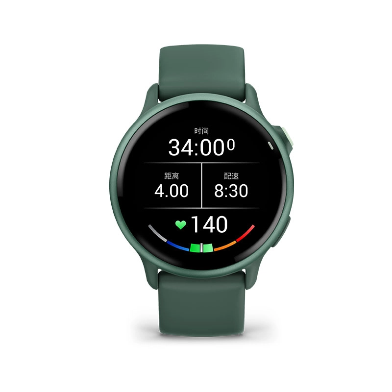 GARMIN Active 6 app