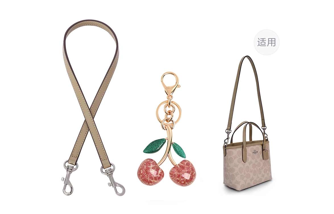 GUYI COACH city15 Totemini