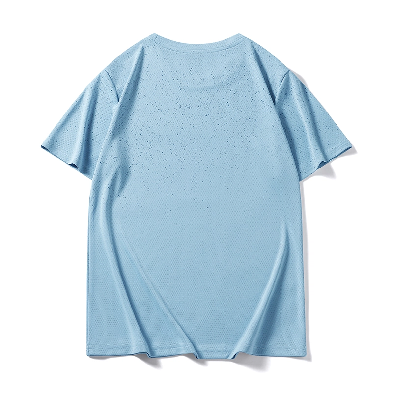 LISENPOK T