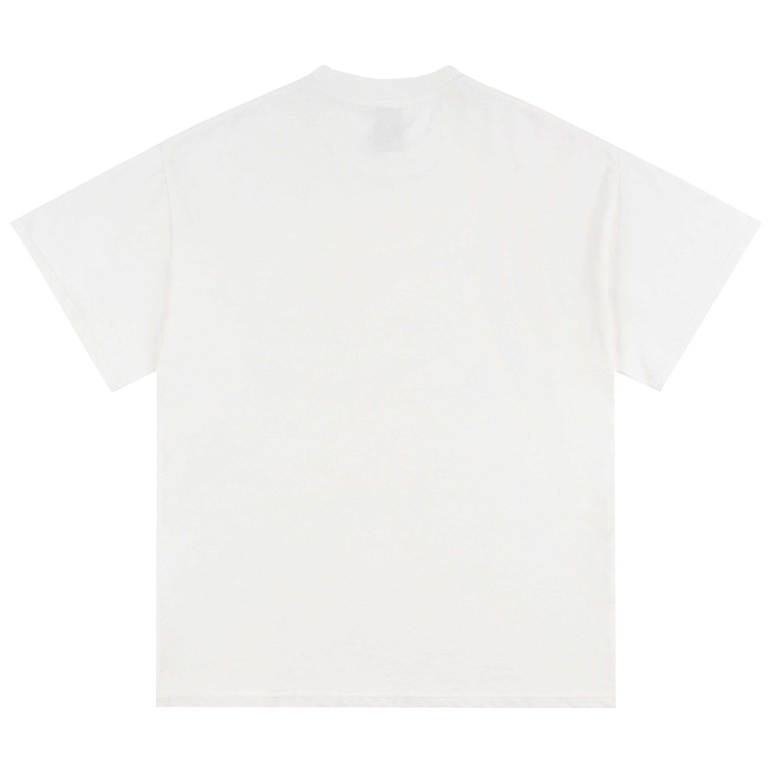 PILOTDRAGON T