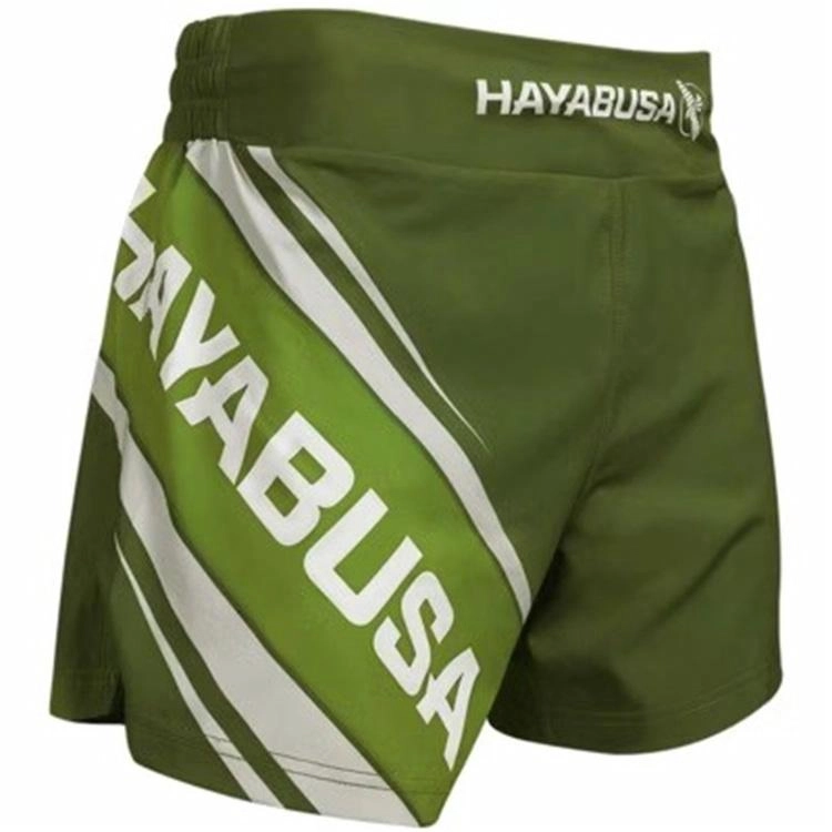 HAYABUSA