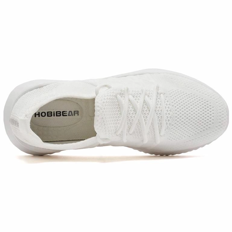 HOBIBEAR