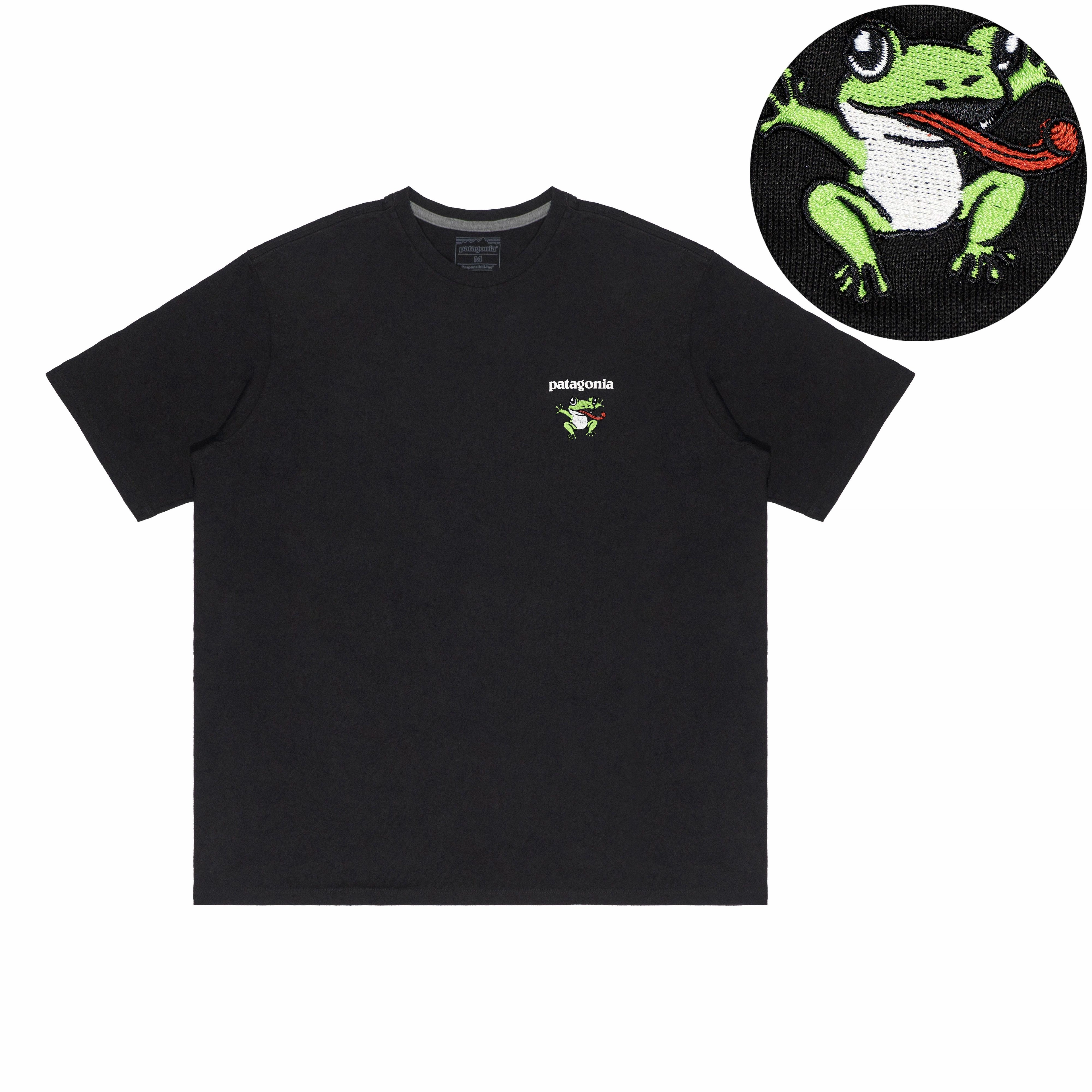 patagonia Extraordinary T