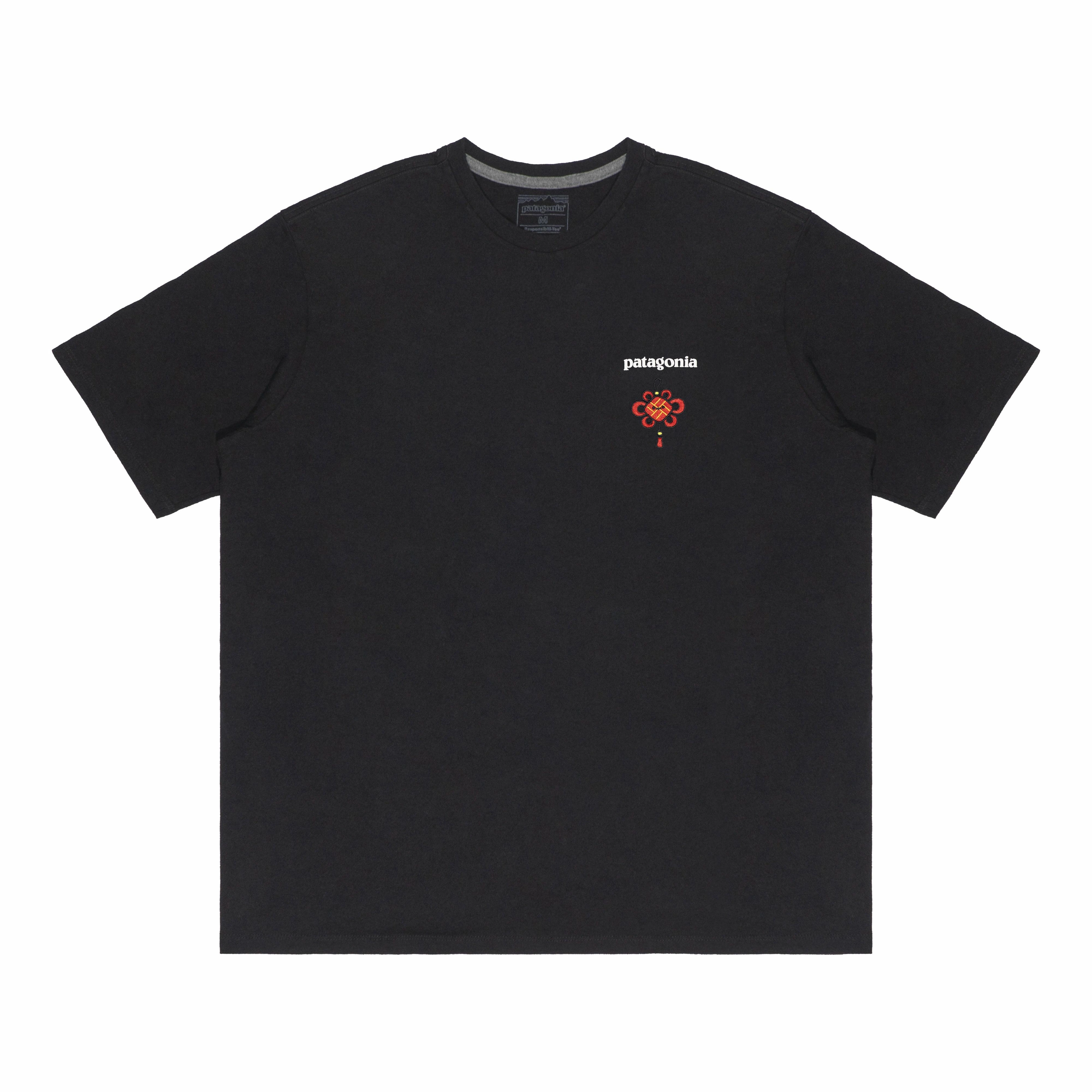patagonia Extraordinary T
