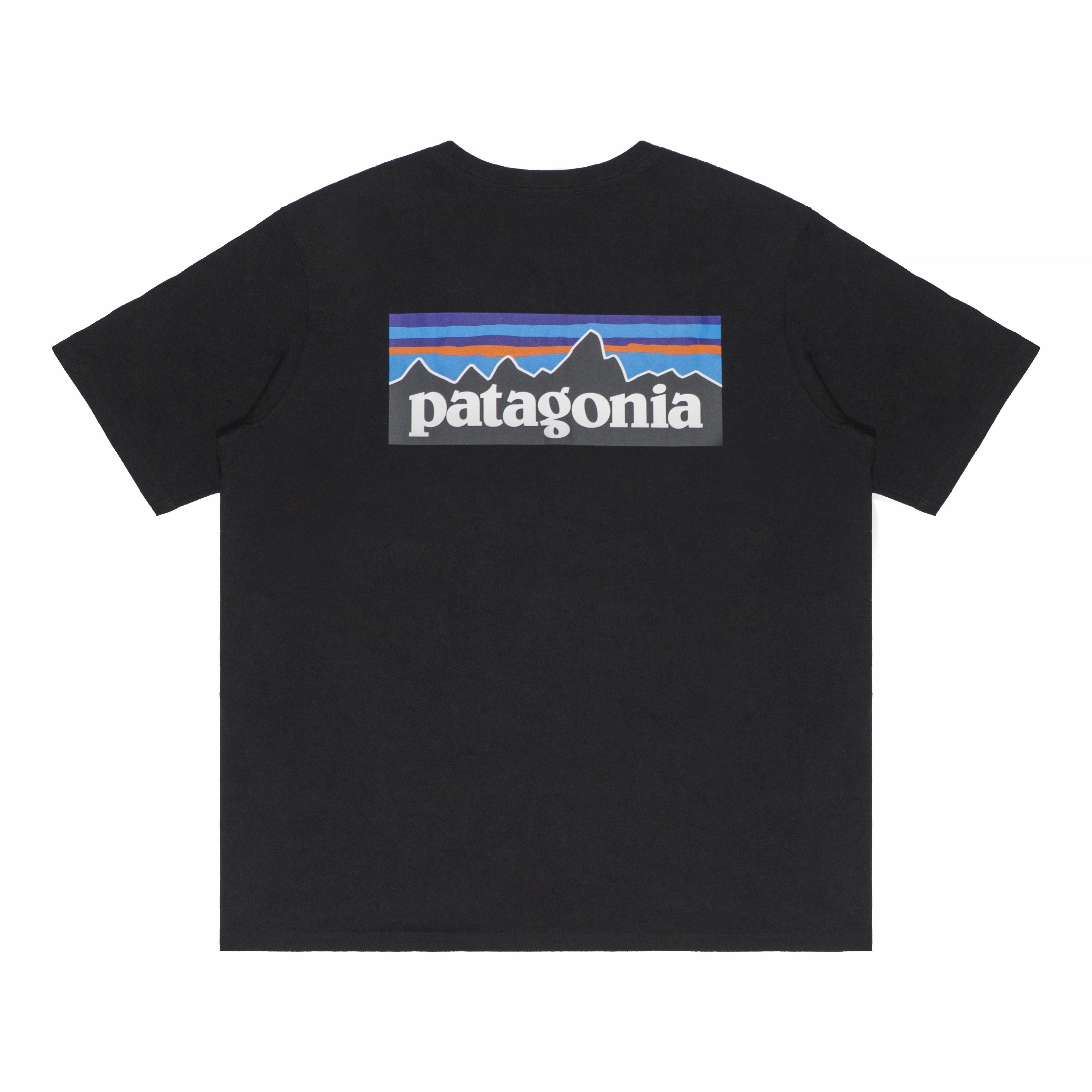 patagonia Extraordinary T