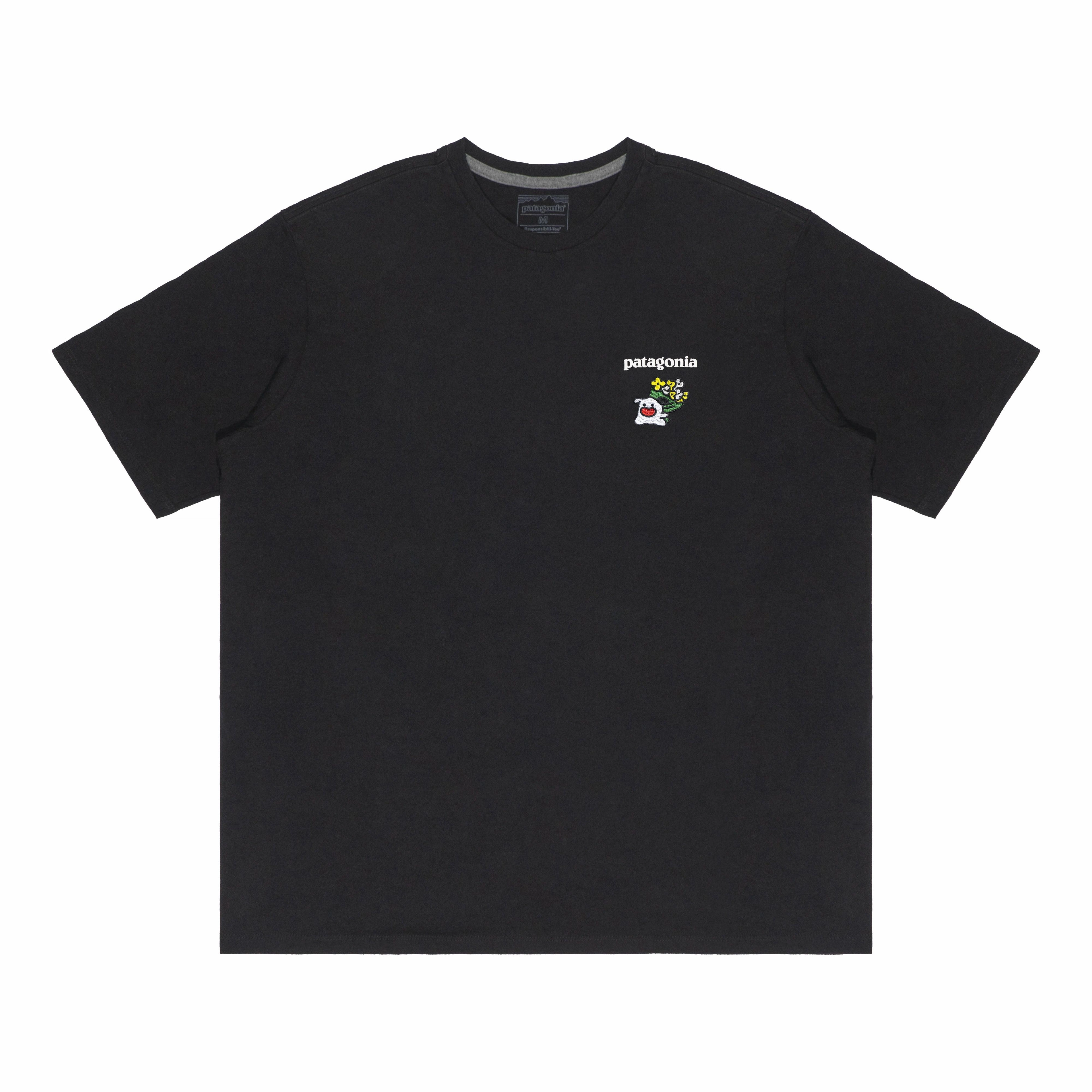 patagonia Extraordinary T