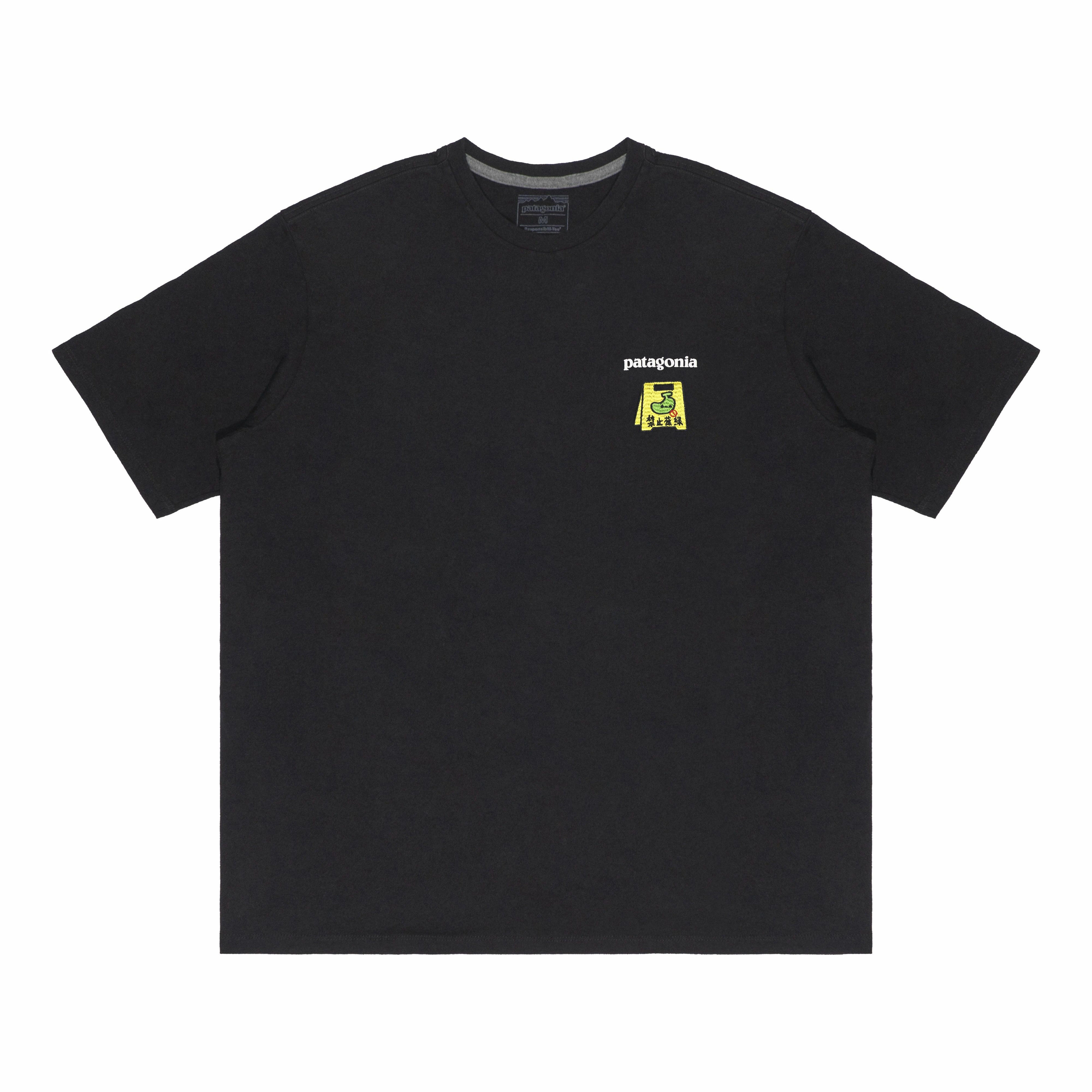 patagonia Extraordinary T
