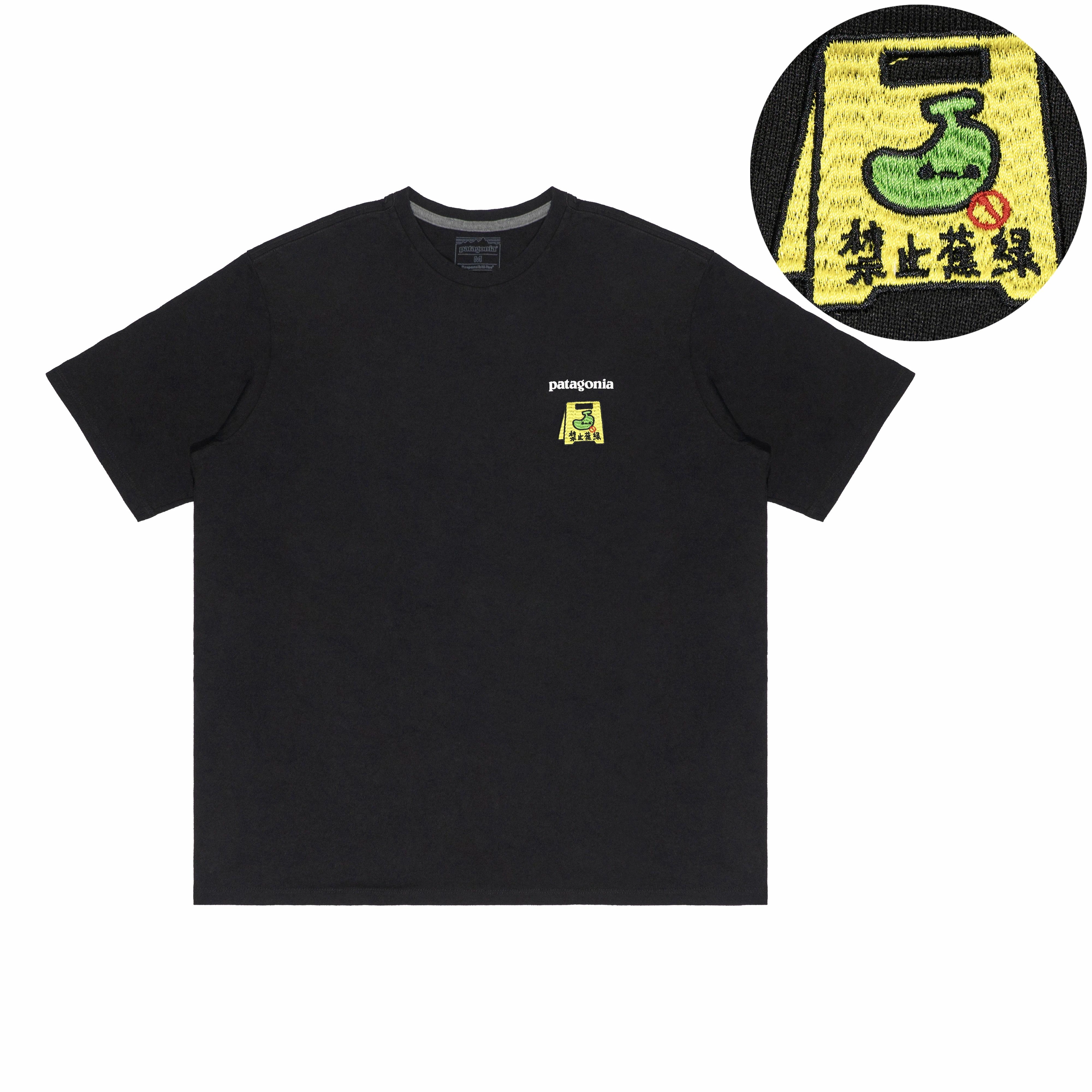 patagonia Extraordinary T