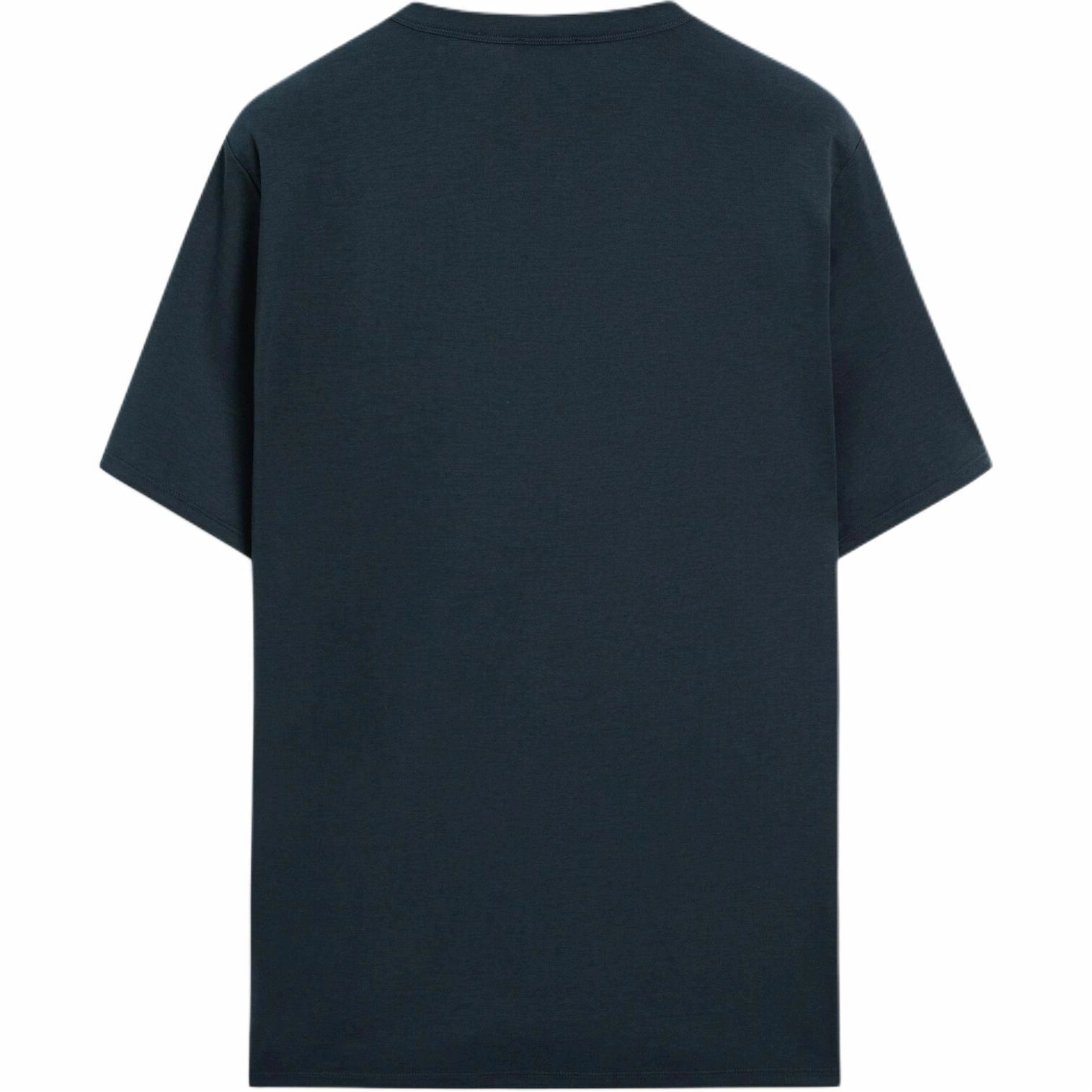 Massimo Dutti T