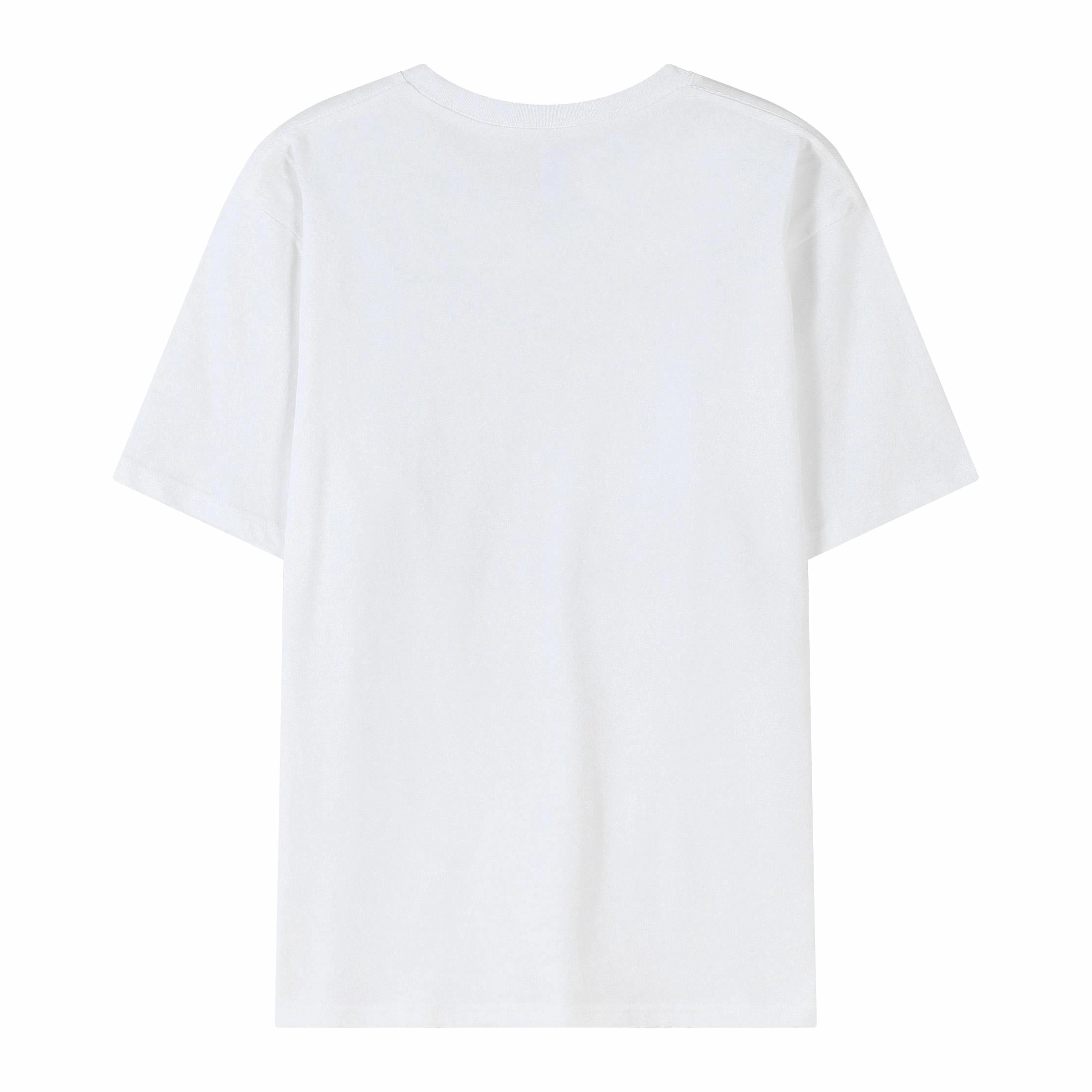 PIERRE CARDIN T