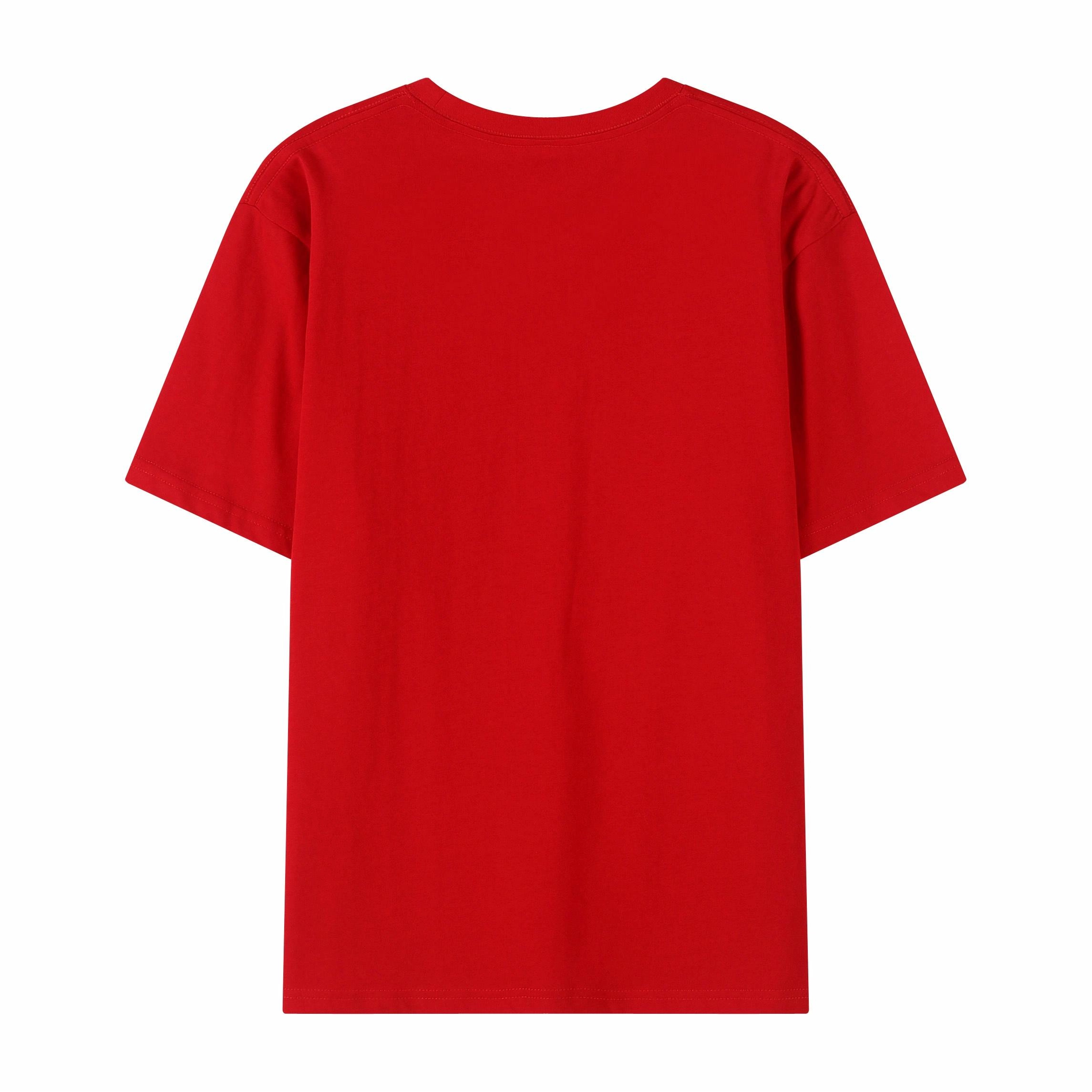 PIERRE CARDIN T