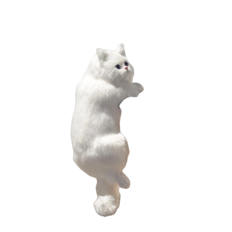 31cm