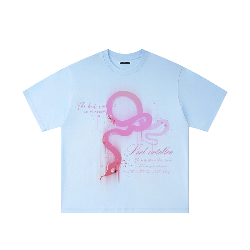 PAUL COSTELLOE T