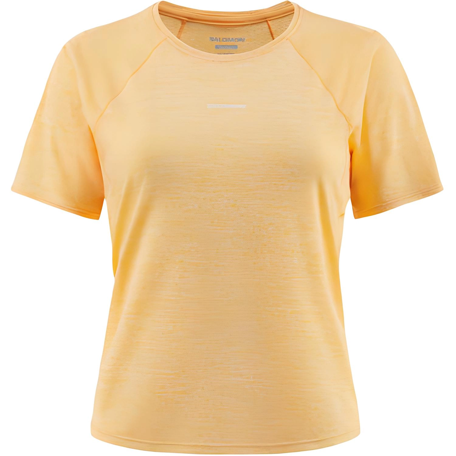 SALOMON T