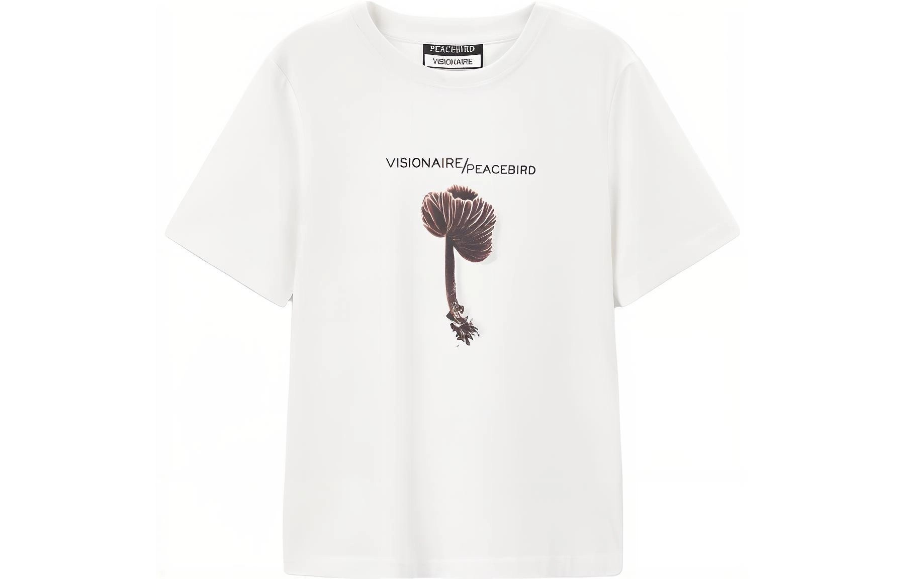 VISIONAIRE T