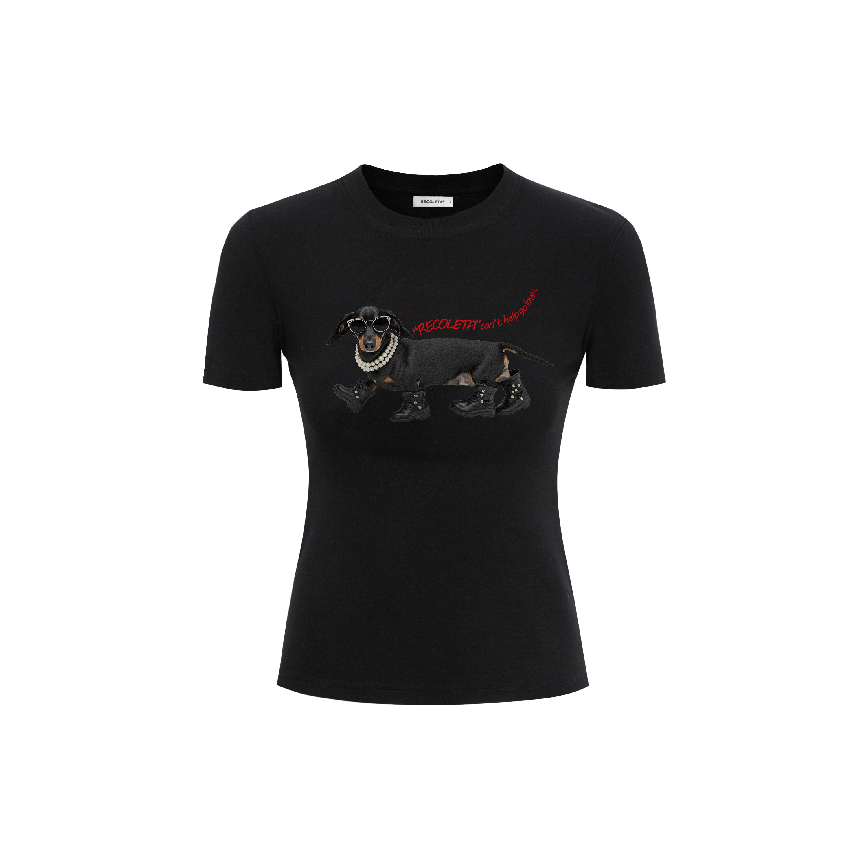 RECOLETA LOGO T