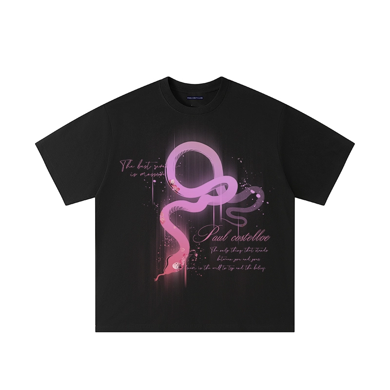 PAUL COSTELLOE T
