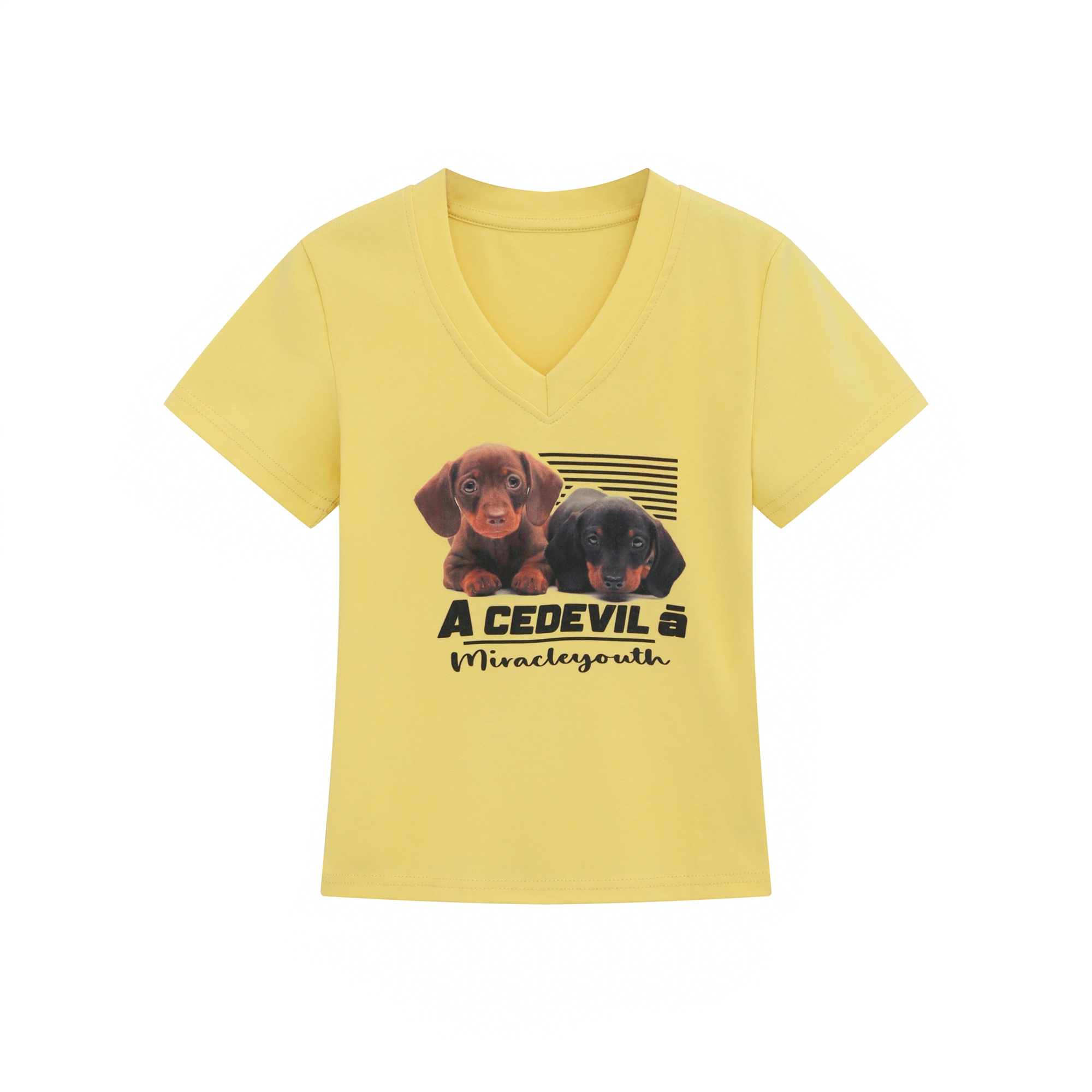 BEAR UNION V T