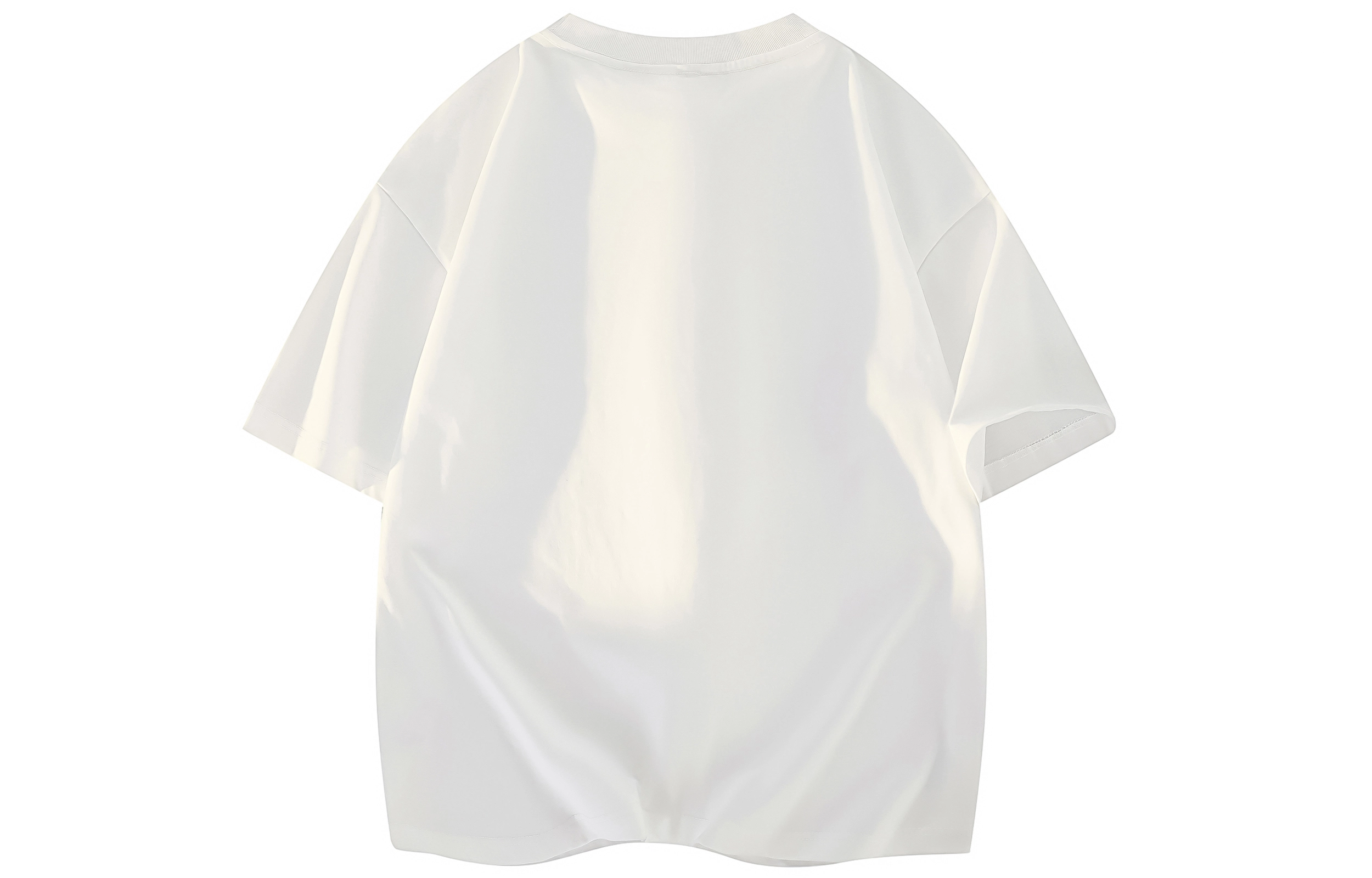 PISYPOX T