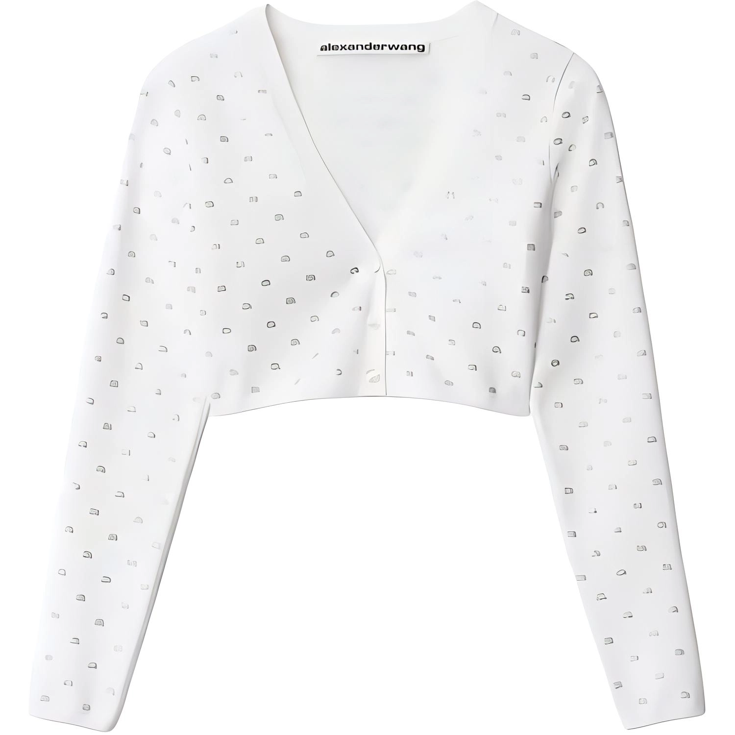alexander wang FW22 V