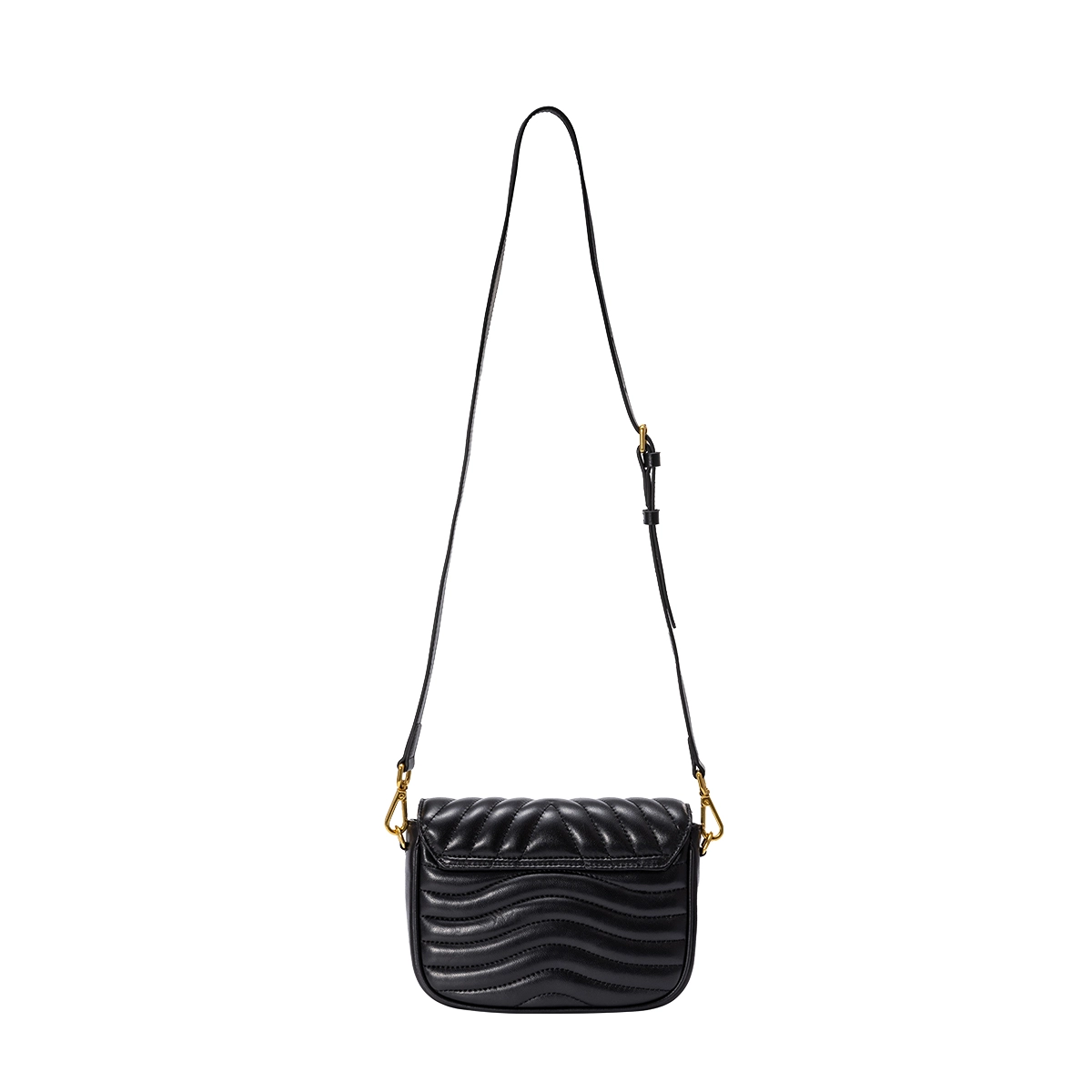 AQUASCUTUM