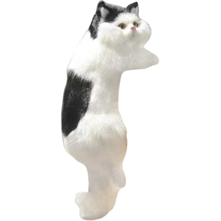 31cm