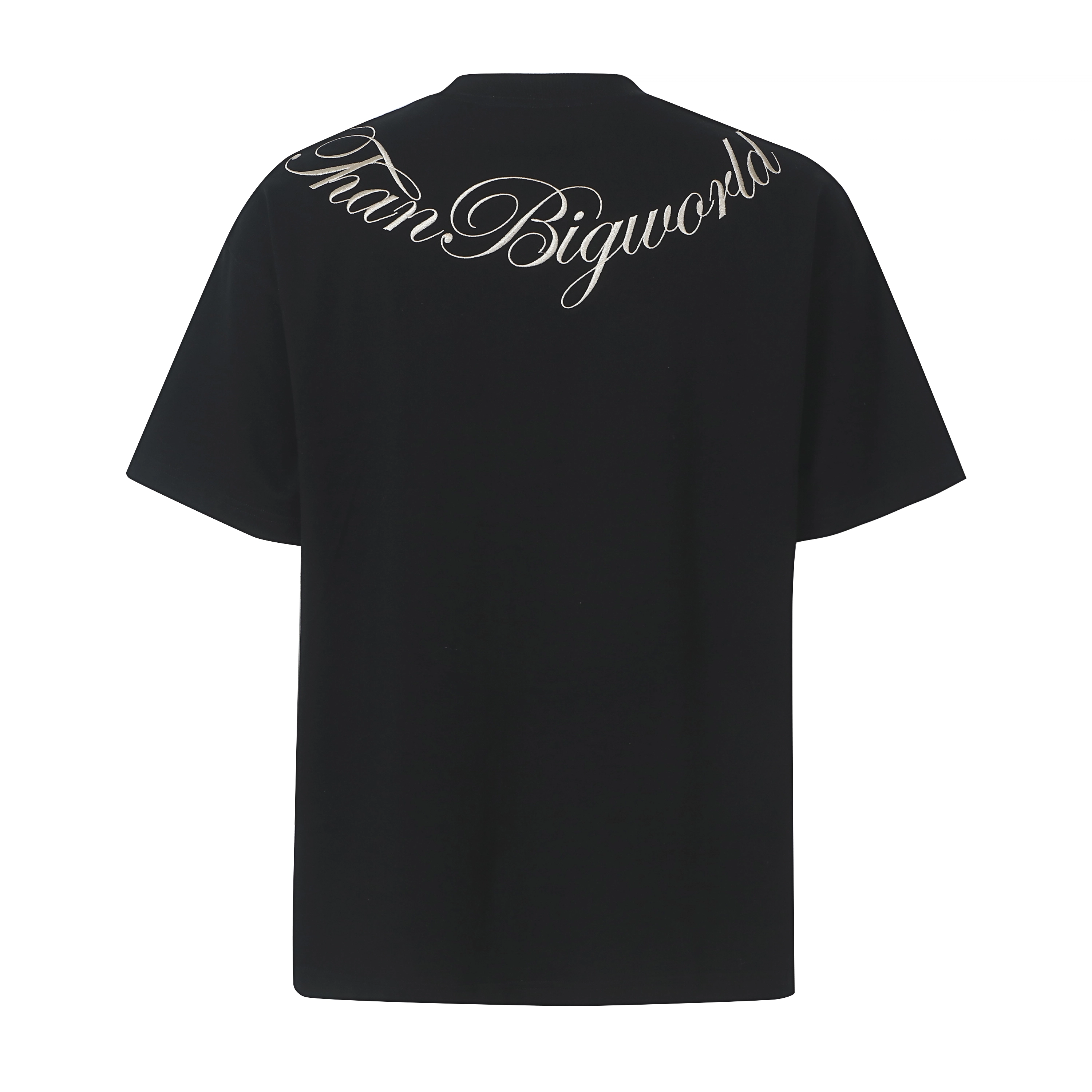 Makemore T