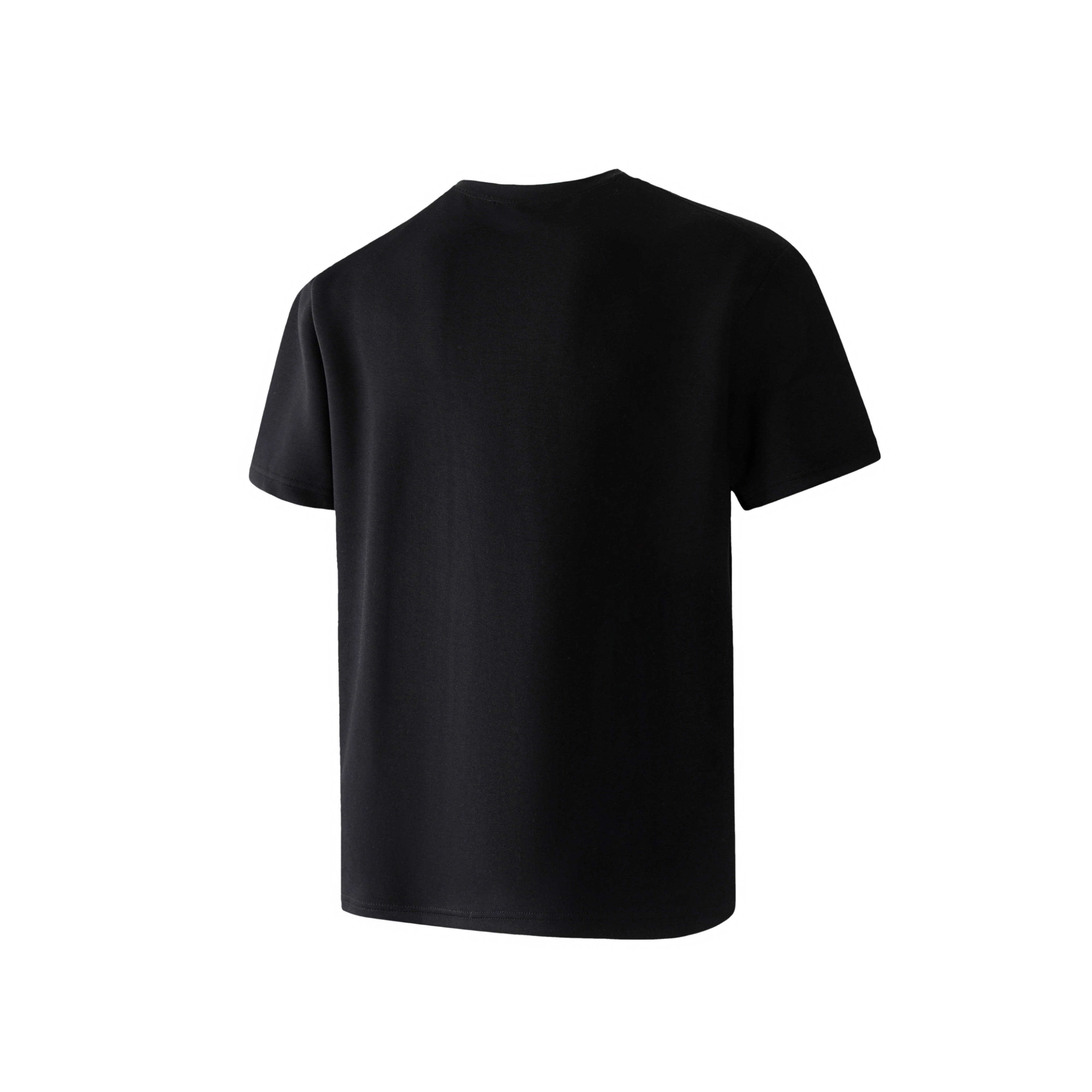 PAINT STAIN T
