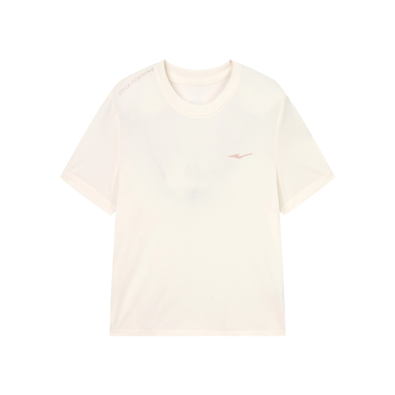 logo T DS