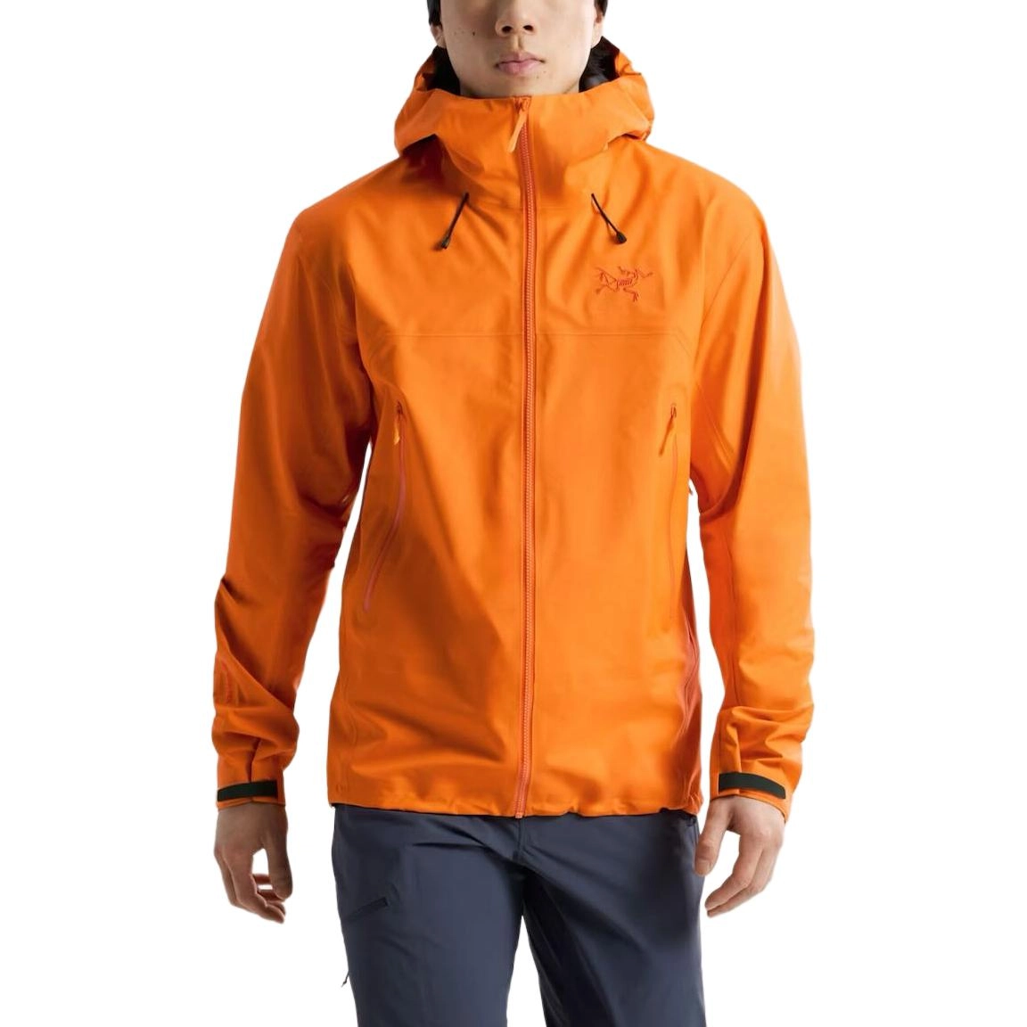 Arcteryx BETA SL GORE-TEX