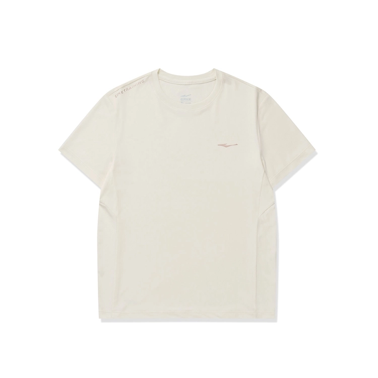 logo T DS