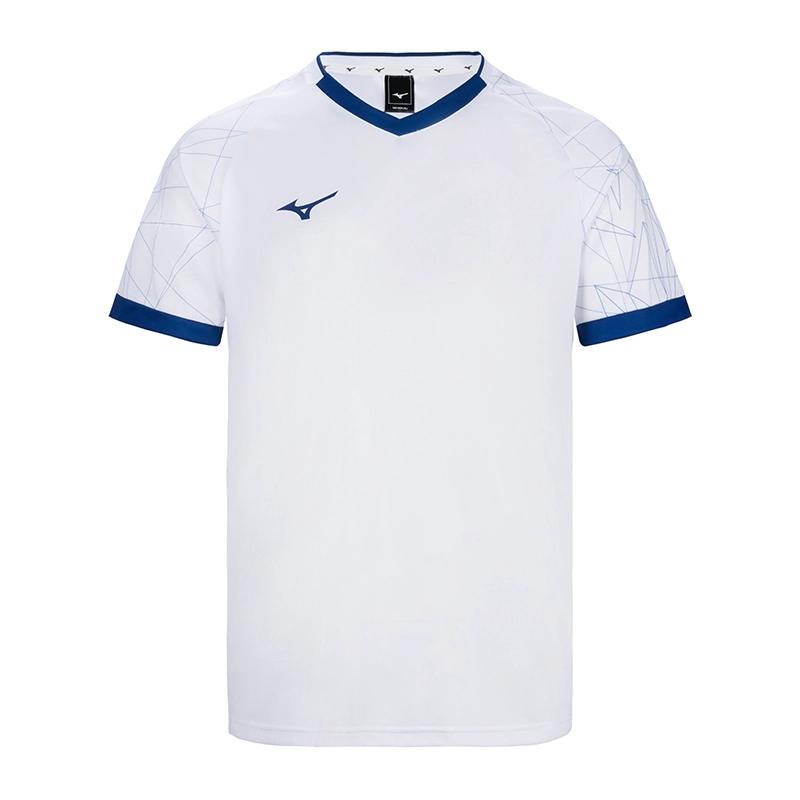 Mizuno V