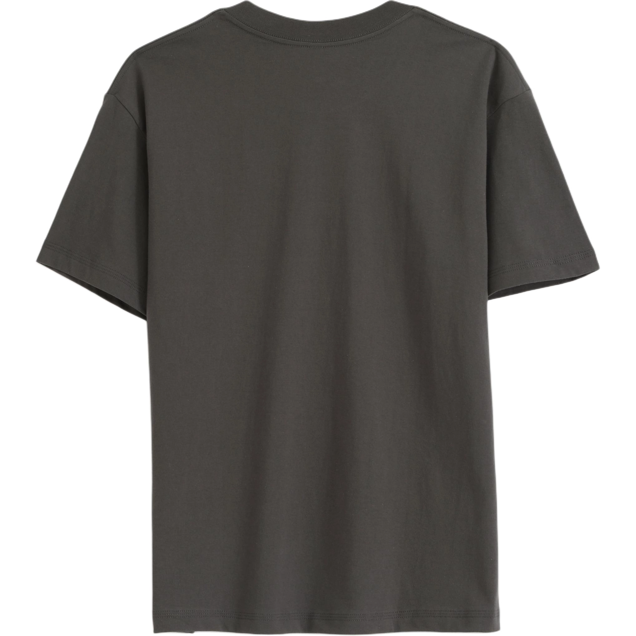 CASAMIA T
